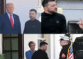 trump zelensky meeting (newsblizzard.com)
